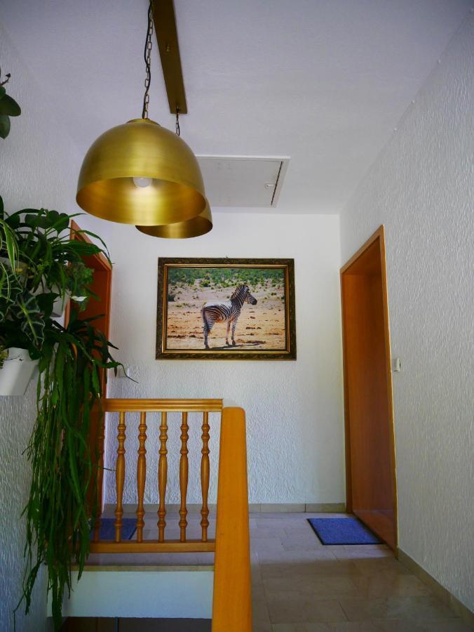 Ferienwohnung Eichkatzel Zell ภายนอก รูปภาพ
