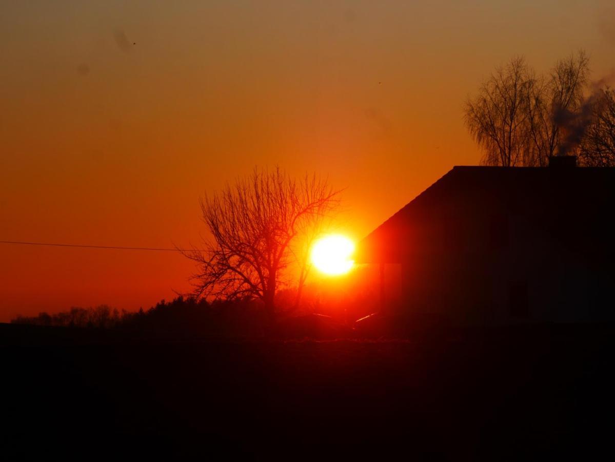 Ferienwohnung Eichkatzel Zell ภายนอก รูปภาพ