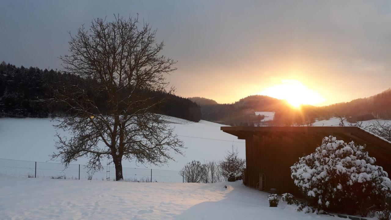 Ferienwohnung Eichkatzel Zell ภายนอก รูปภาพ
